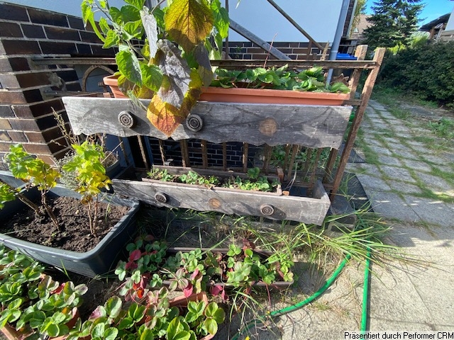 Gemüsegarten