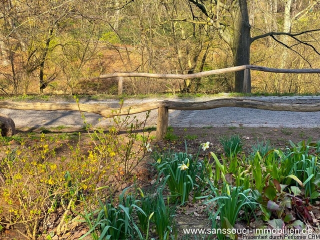 Frühlingserwachen im Volkspark Wilmersdorf