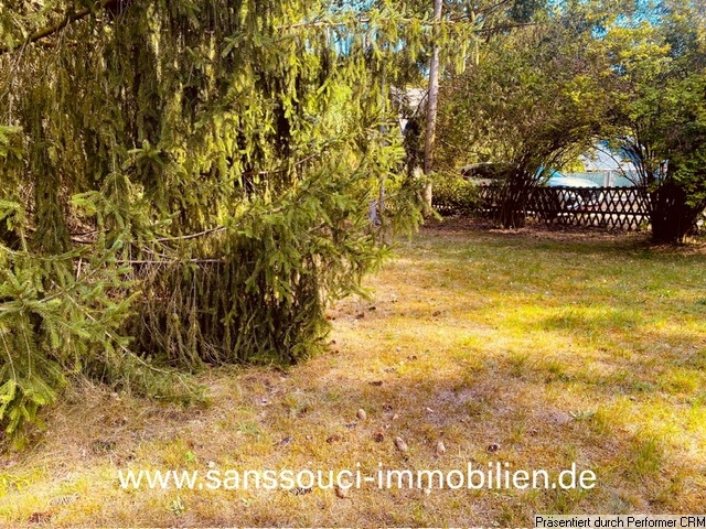 Blick über das Grundstück