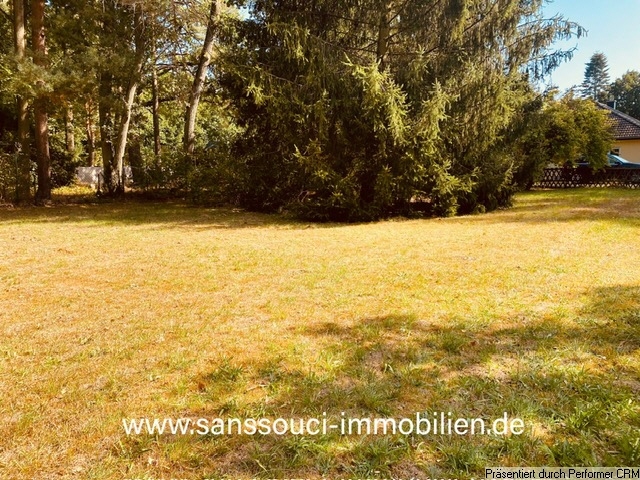 weitläufiges Grundstück