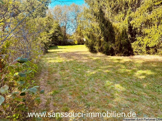 Weitblick