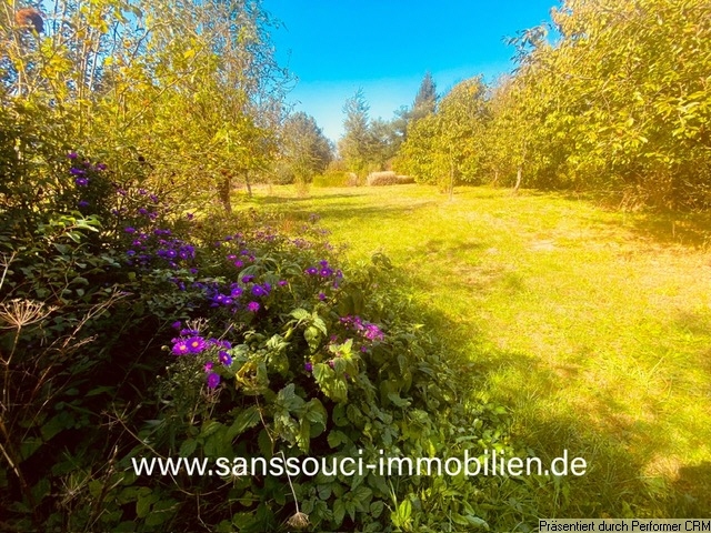 freier Grundstücksblick