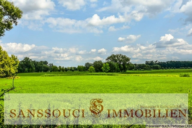 Weitblick über die Oderauen