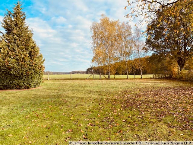 freier Feldblick