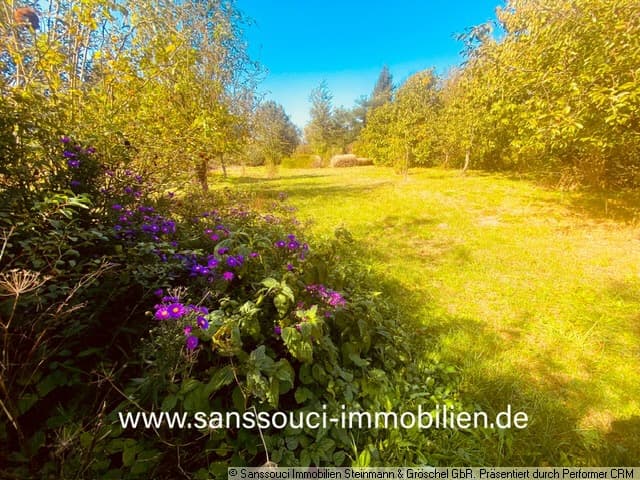 freier Grundstücksblick