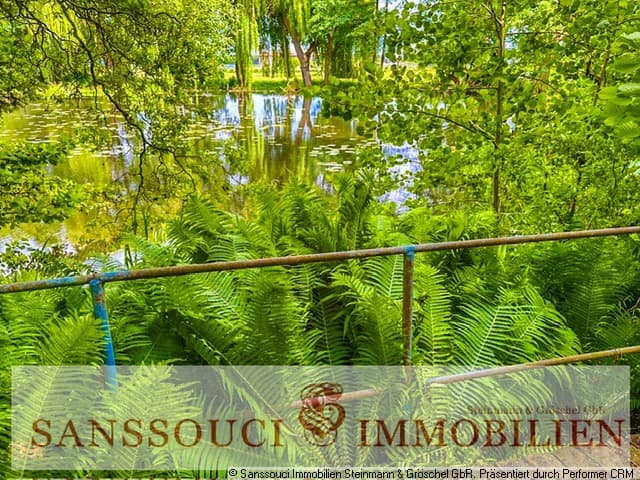 Wasserblick