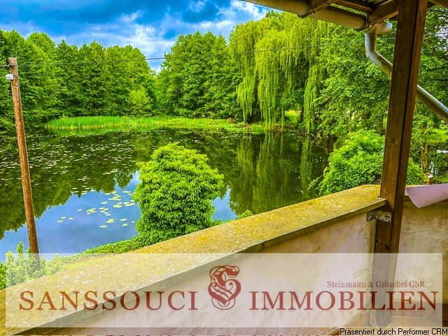 Ausblick auf den Teich